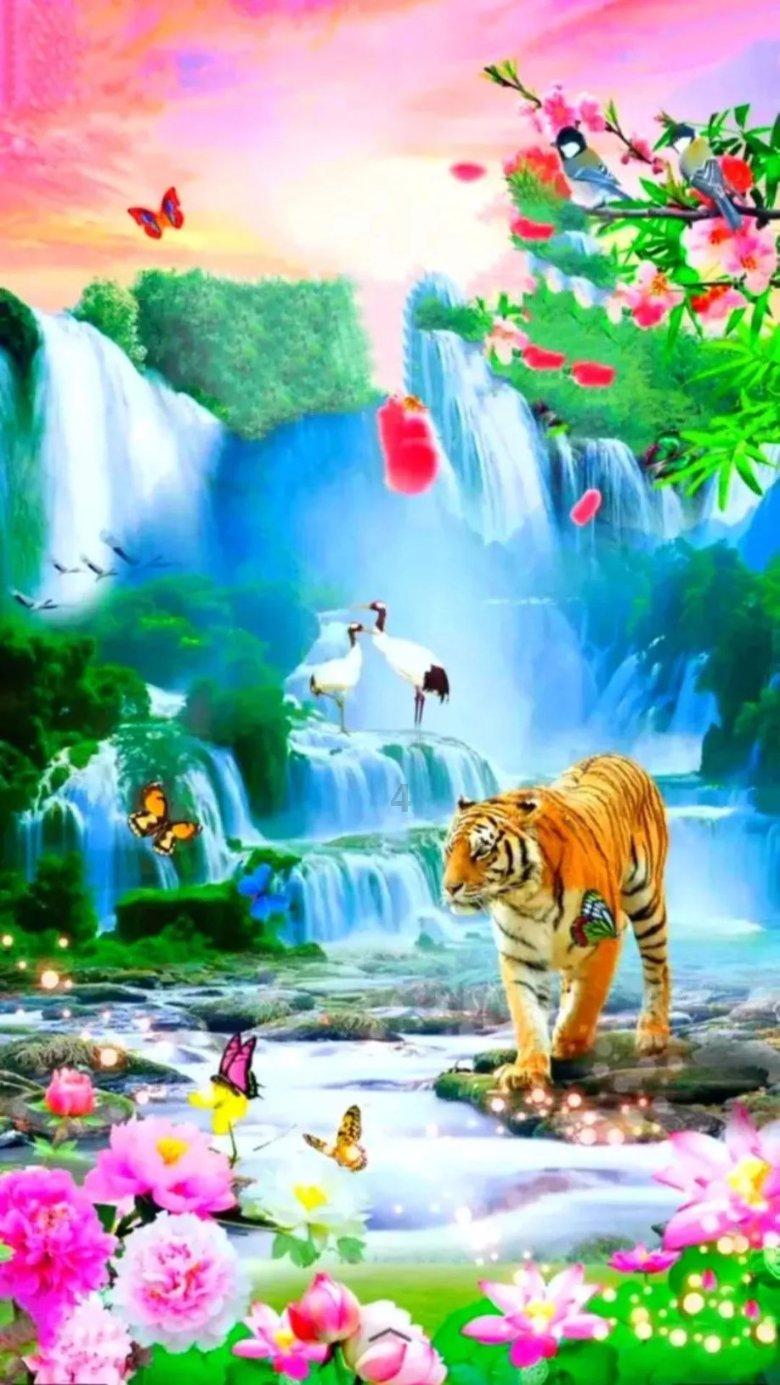 小猫钓鱼开船版最新版下载