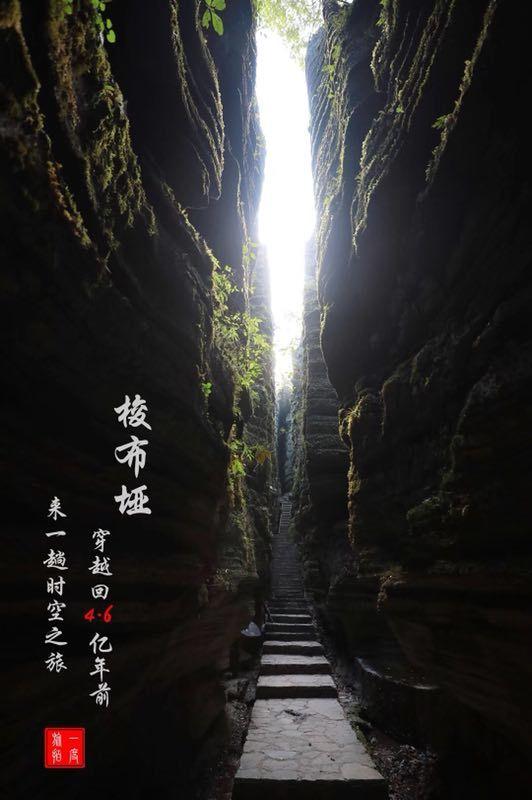 巧虎踢足球