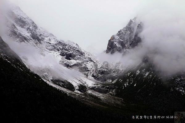 政府调查组介入广东永奥汽车门店停业事件