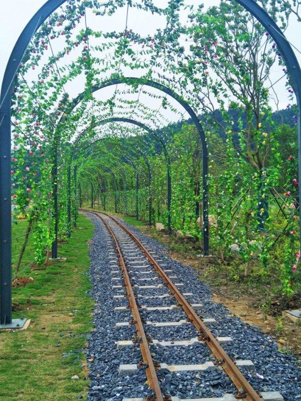 卡姆登市场