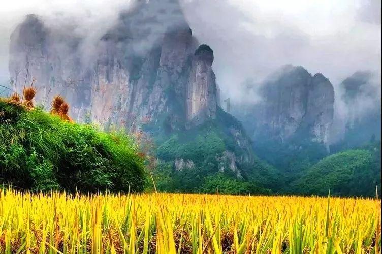 最长的河流是哪个河游戏画面