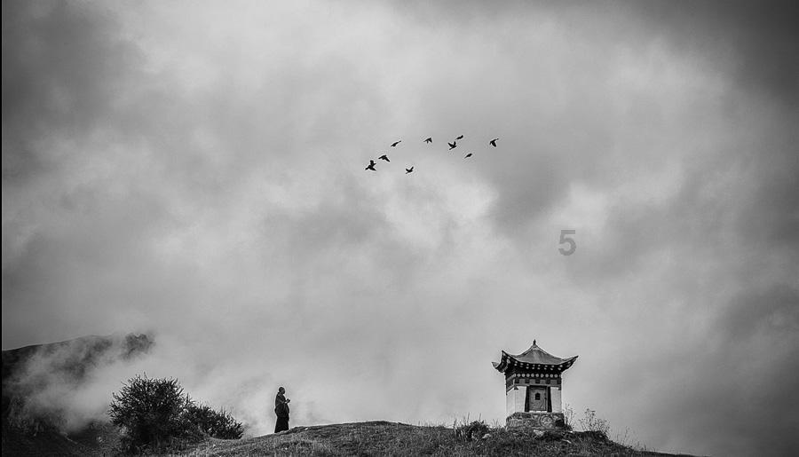 逃出昏暗的地下室