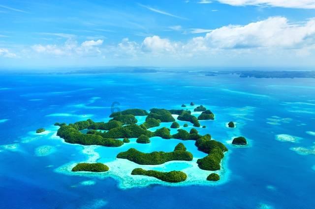 大禹节水:水电公司联合体中标甘肃省金昌市金川区2024年高标准农田建设项目