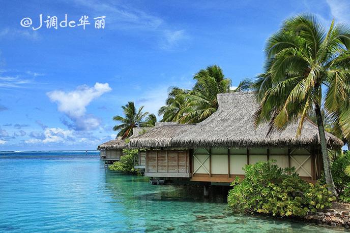 美丽小空姐