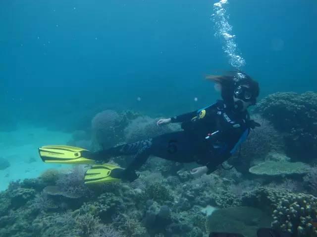 逃出漂浮的小岛