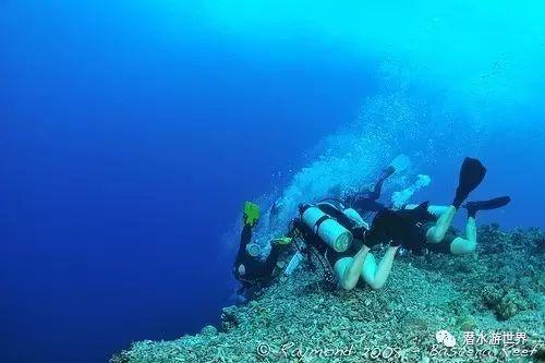 全民烧脑3去广告版