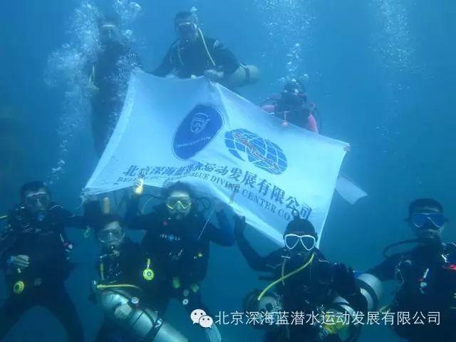 寻找丢失的金币