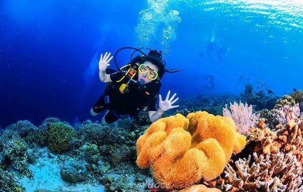 小米澎湃OS创纪录！中国手机地震监测预警网首次成功预警地震