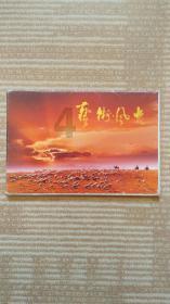粉色修身款毛衣裙搭配白色优雅高跟鞋，这样的穿搭你觉得温柔吗？