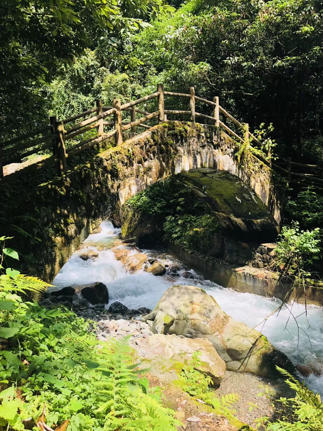 网游之大神莫挡路