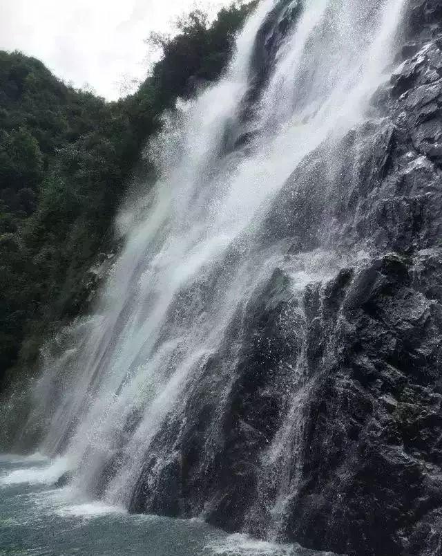 春雨直播app