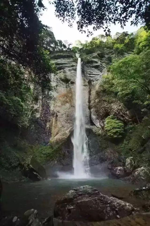 机器人罗博