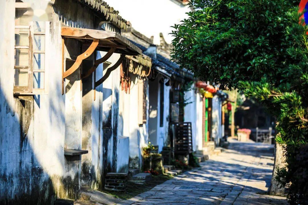 三国志10