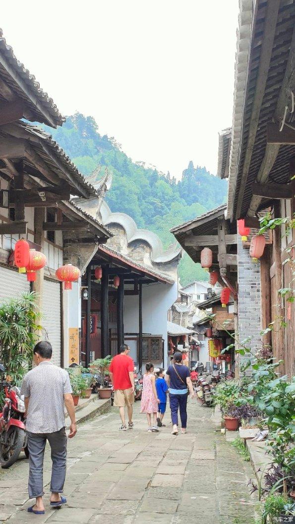 泡沫森林