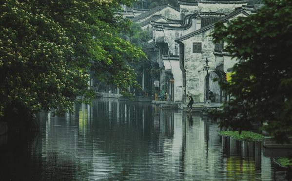 探索送女生芥末味大白兔是什么意思?,解答你的疑惑!