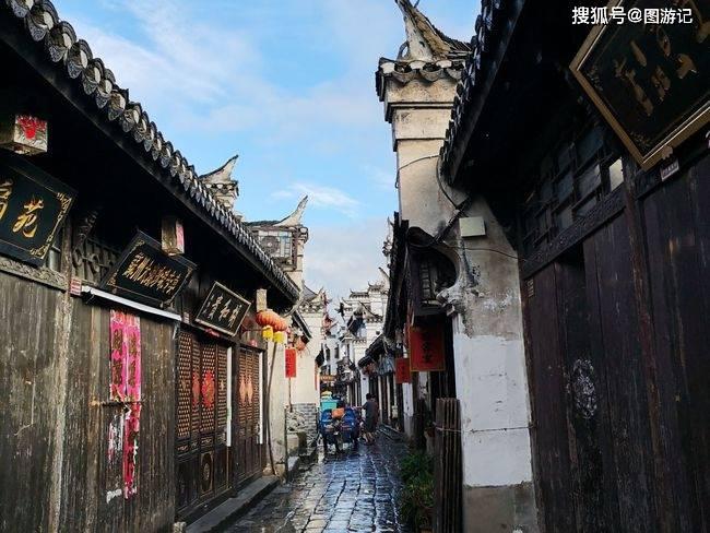 遥控施肥自动侧修,茶园来了“钢铁侠”