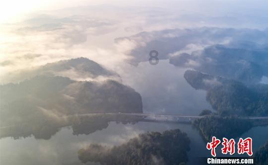迷你淘气猪逃脱